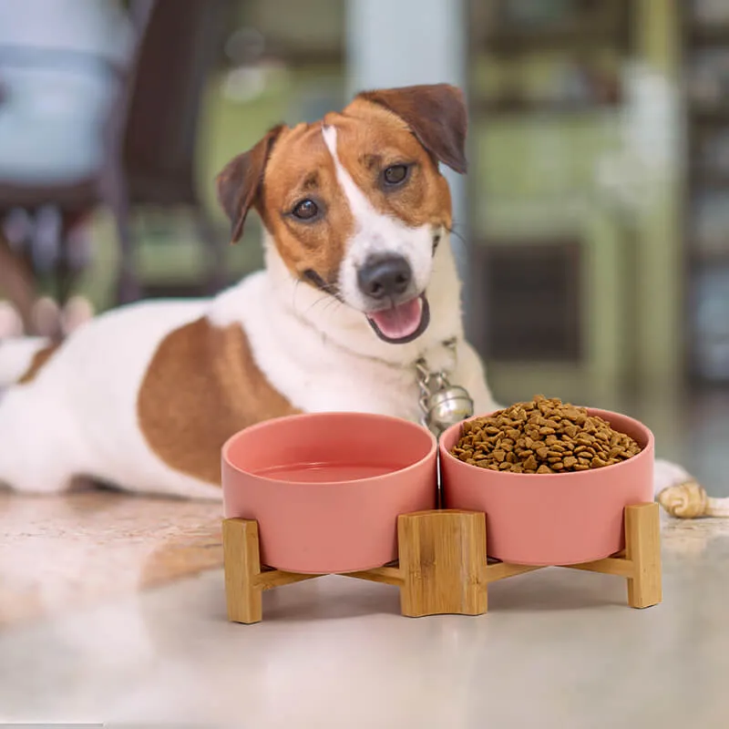 15° Slanted Ceramic Bowl Set with Wooden Stand | Tilted Food & Water Bowl