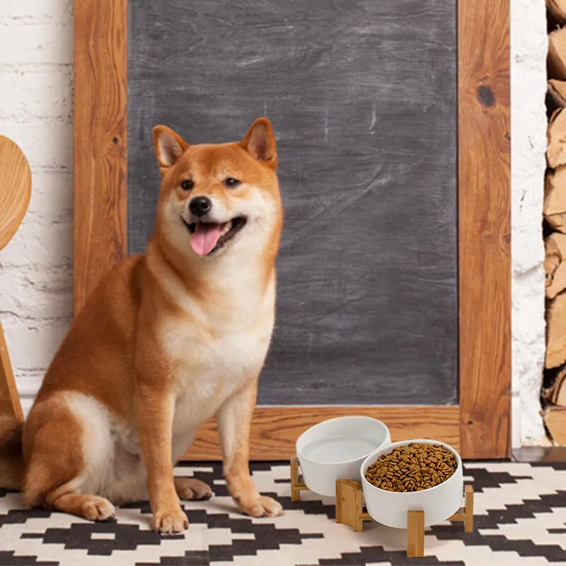 15° Slanted Ceramic Bowl Set with Wooden Stand | Tilted Food & Water Bowl