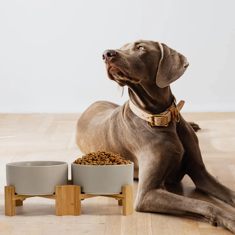 15° Slanted Ceramic Bowl Set with Wooden Stand | Tilted Food & Water Bowl