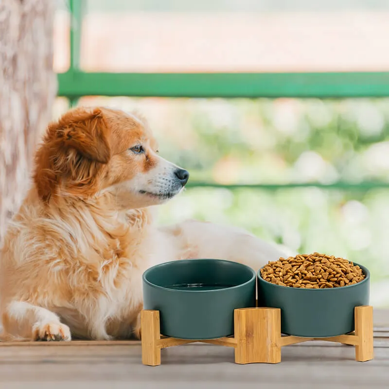 15° Slanted Ceramic Bowl Set with Wooden Stand | Tilted Food & Water Bowl