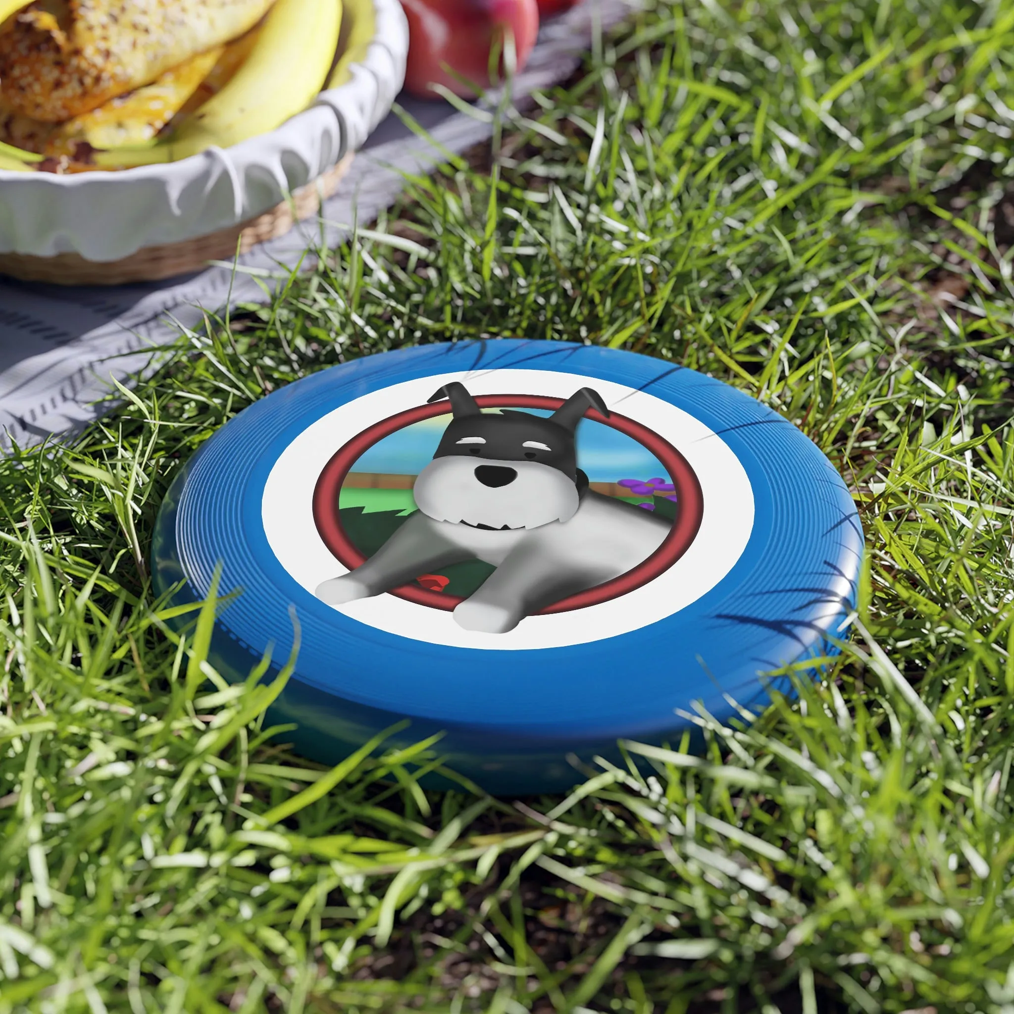 Buckley Wham-O Frisbee