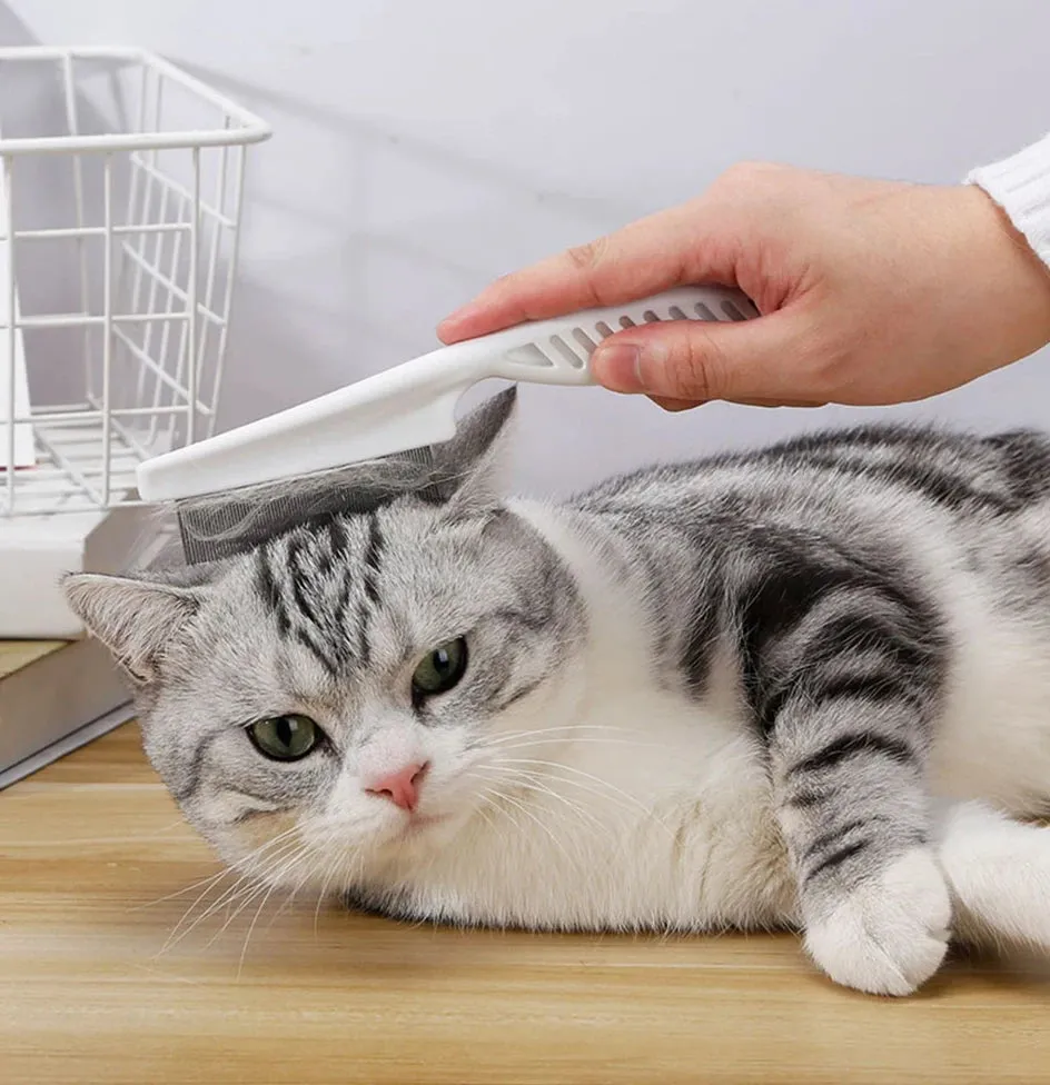Cat Flea Comb | Cat Grooming