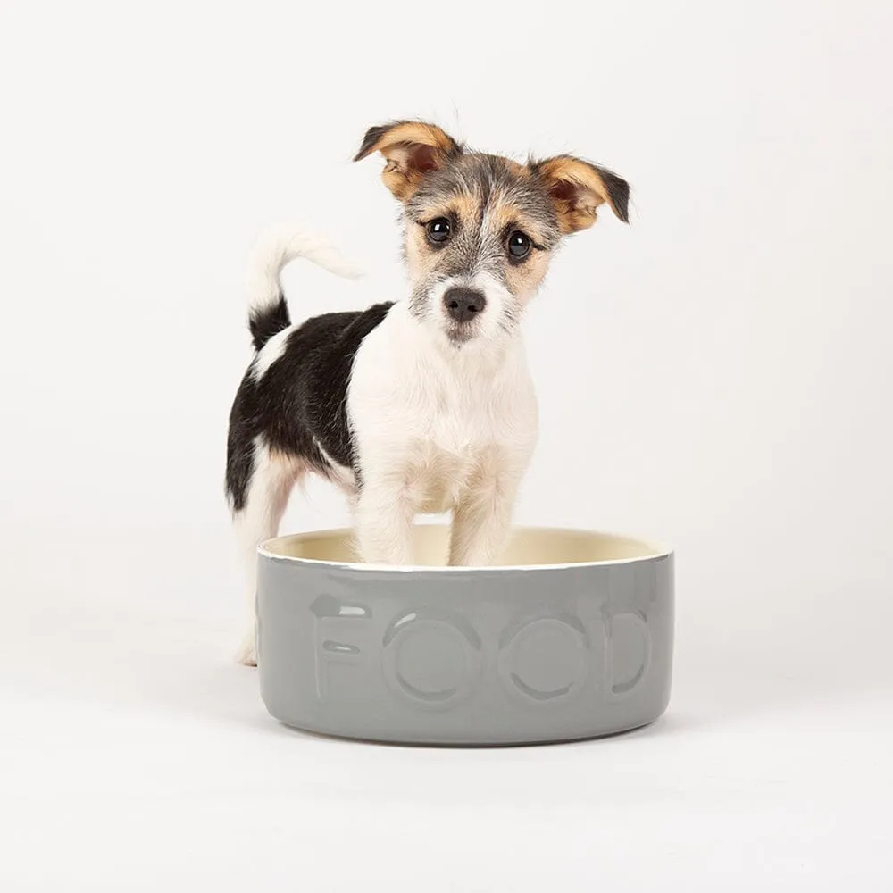 Classic 2 Piece Dog Food & Water Bowl Set - 25cm | 20cm - Grey