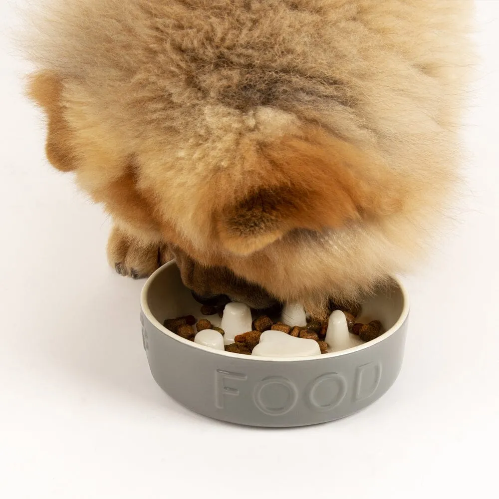 Classic 2 Piece Dog Slow Feeder & Water Bowl Set - 16cm | 15cm - Grey