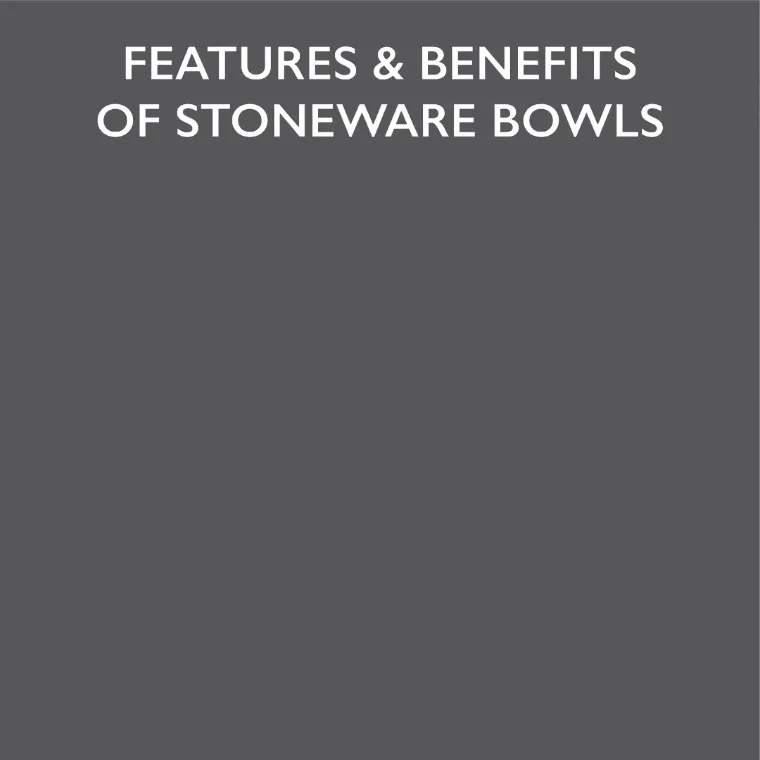 Classic 2 Piece Dog Slow Feeder & Water Bowl Set - 16cm | 15cm - Grey