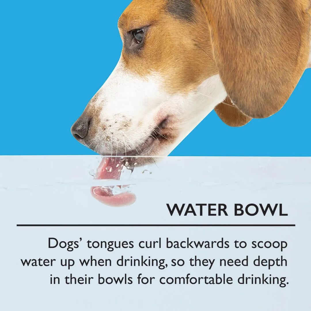 Classic 2 Piece Dog Slow Feeder & Water Bowl Set - 16cm | 15cm - Grey