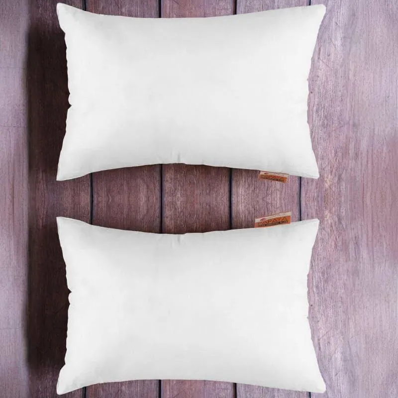 Dana Cozy Pillow - Set Of Two