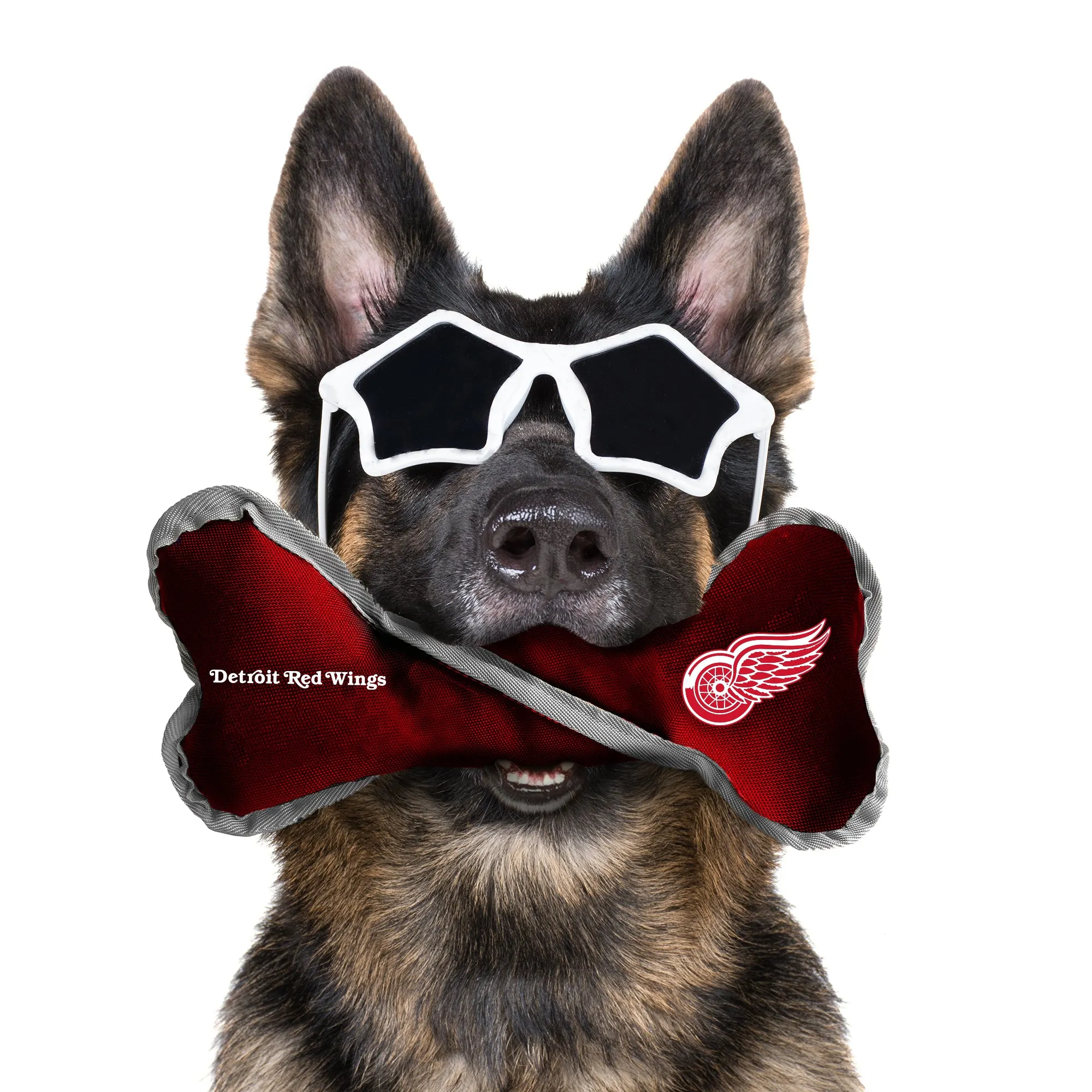 Detroit Red Wings Pet Tug Bone