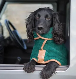 Dog Accessories: Dog Drying Robe Absorbent Bath Towel   Gloves