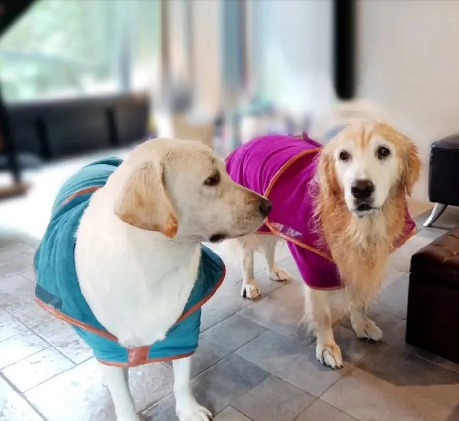 Dog Accessories: Dog Drying Robe Absorbent Bath Towel   Gloves