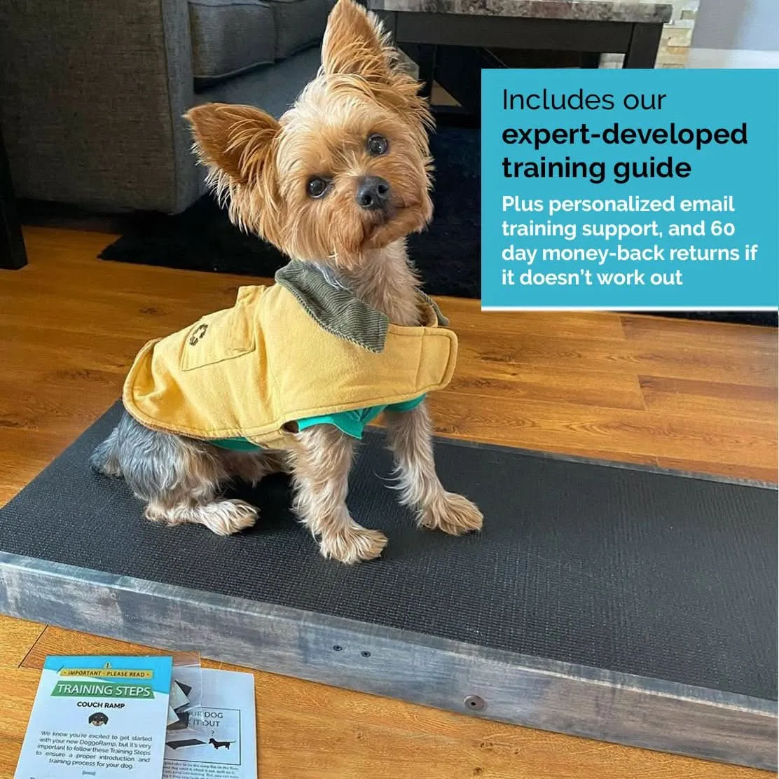 Dog Ramp for Couch