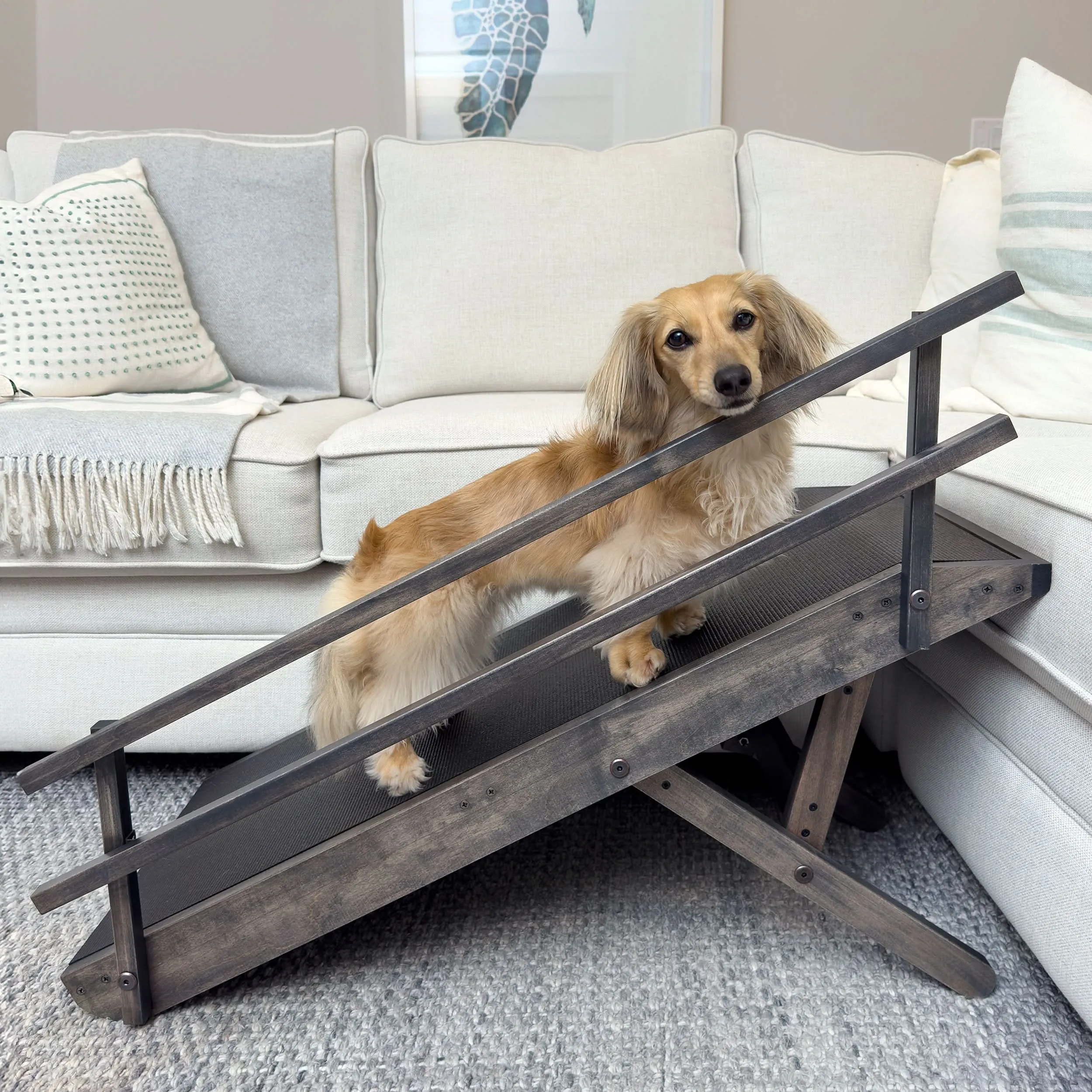 Dog Ramp for Couch