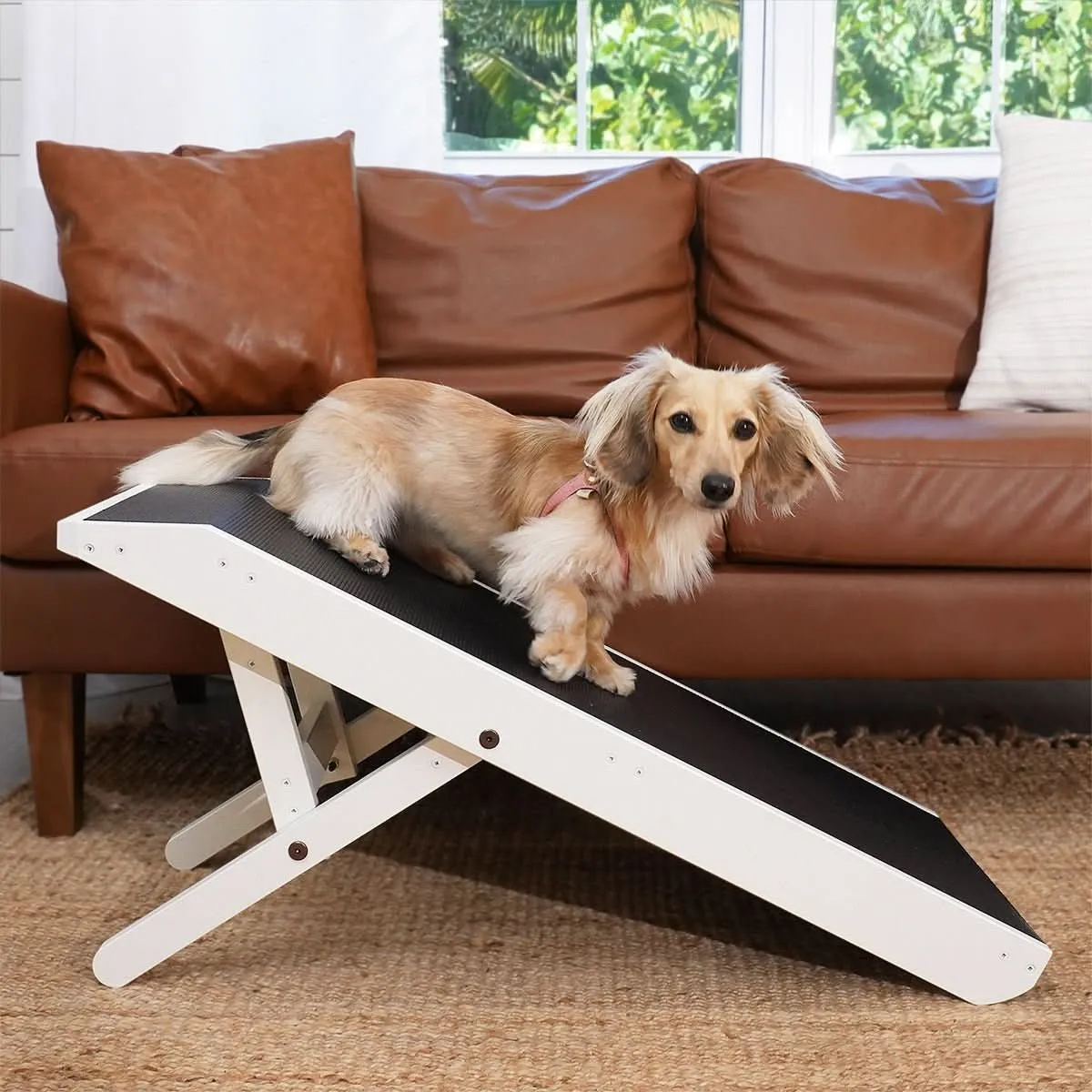 Dog Ramp for Couch