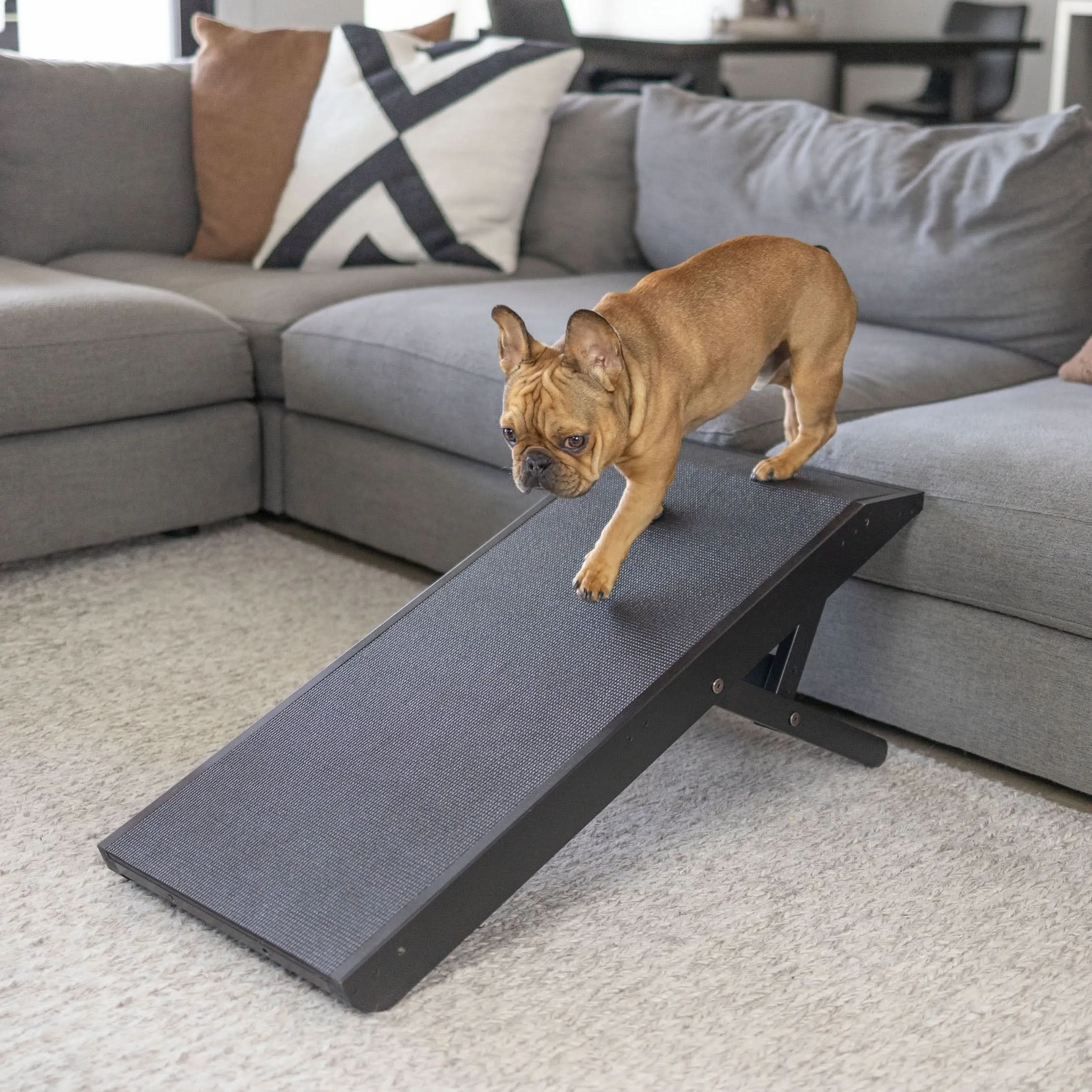 Dog Ramp for Couch