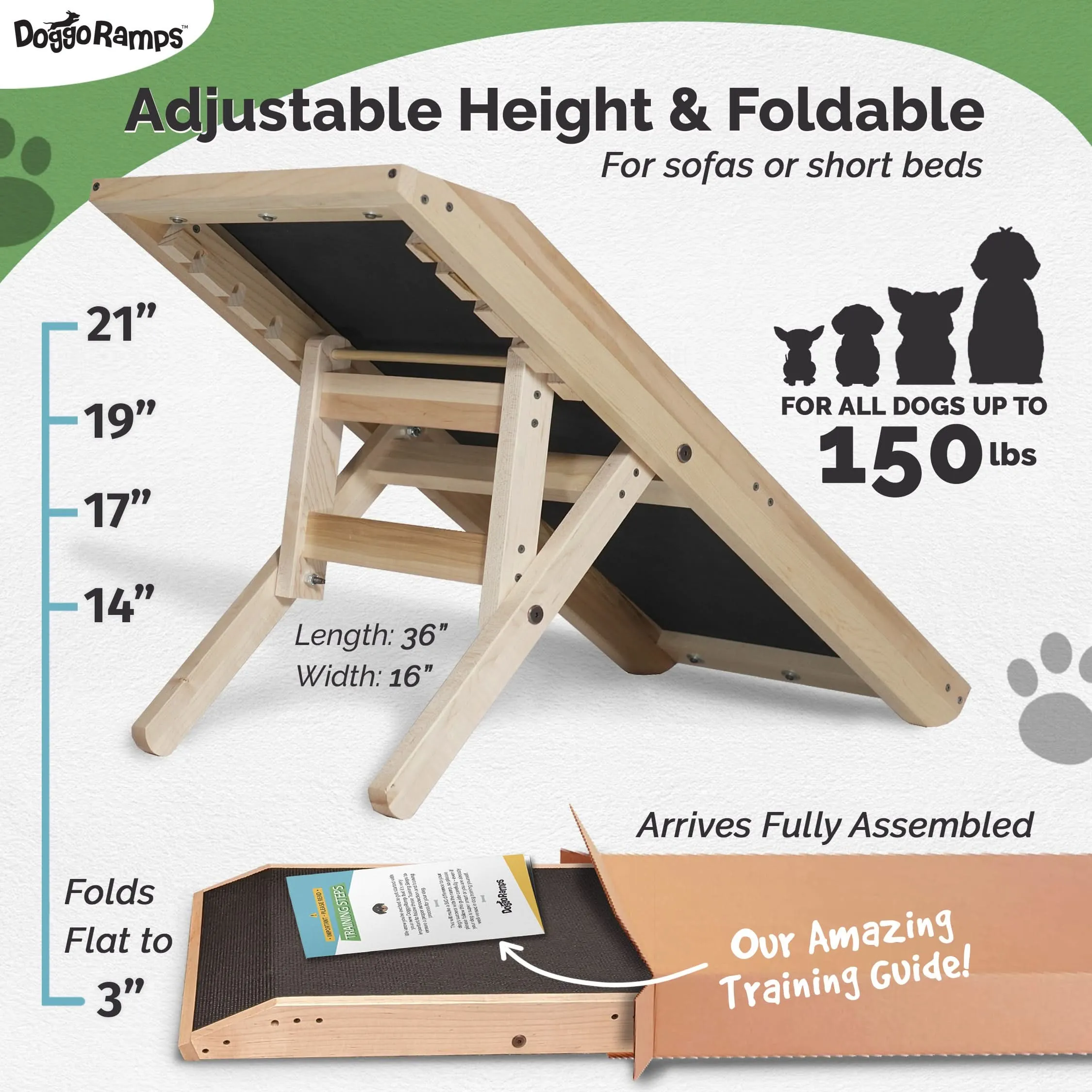 Dog Ramp for Couch