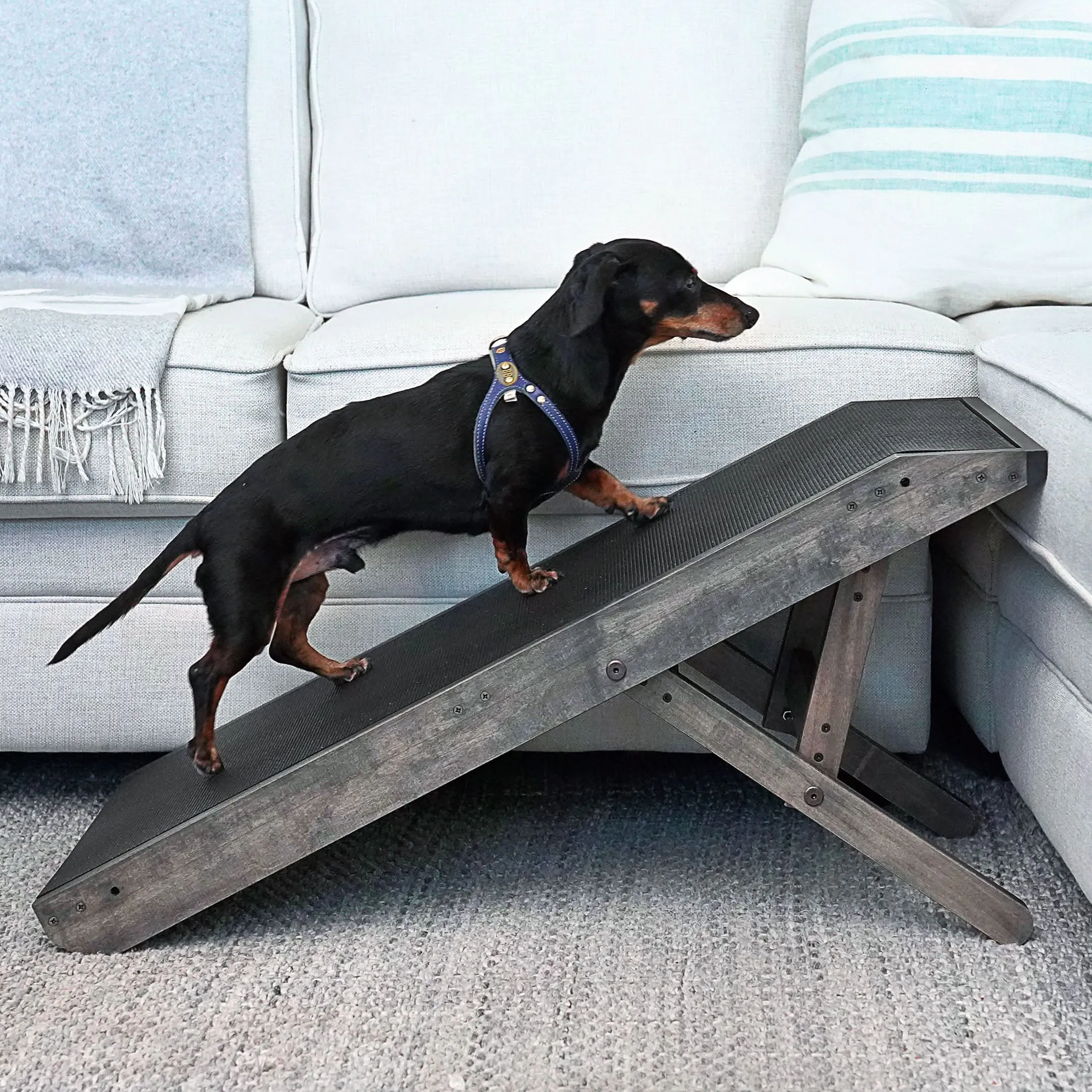 Dog Ramp for Couch