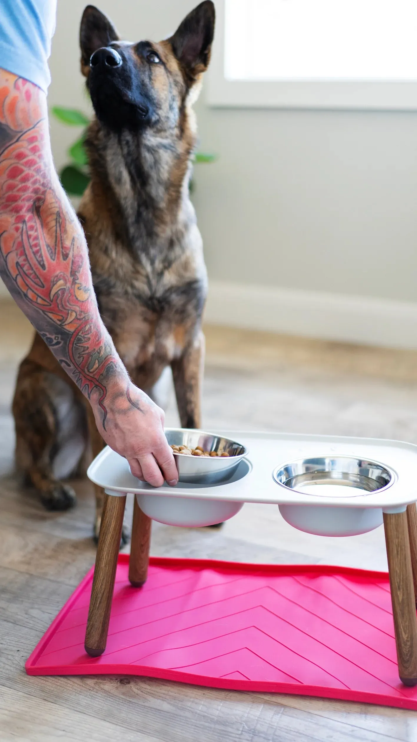 Elevated Double Dog Feeder with Stainless Bowls, Adjustable Height 3" to 10", Faux Wood Legs