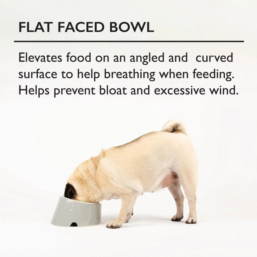 Icon 2 Piece Flat Faced Dog Bowl & Water Bowl - 15cm | 18cm - Cream
