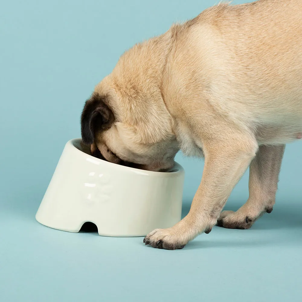 Icon 2 Piece Flat Faced Dog Bowl & Water Bowl - 15cm | 18cm - Cream