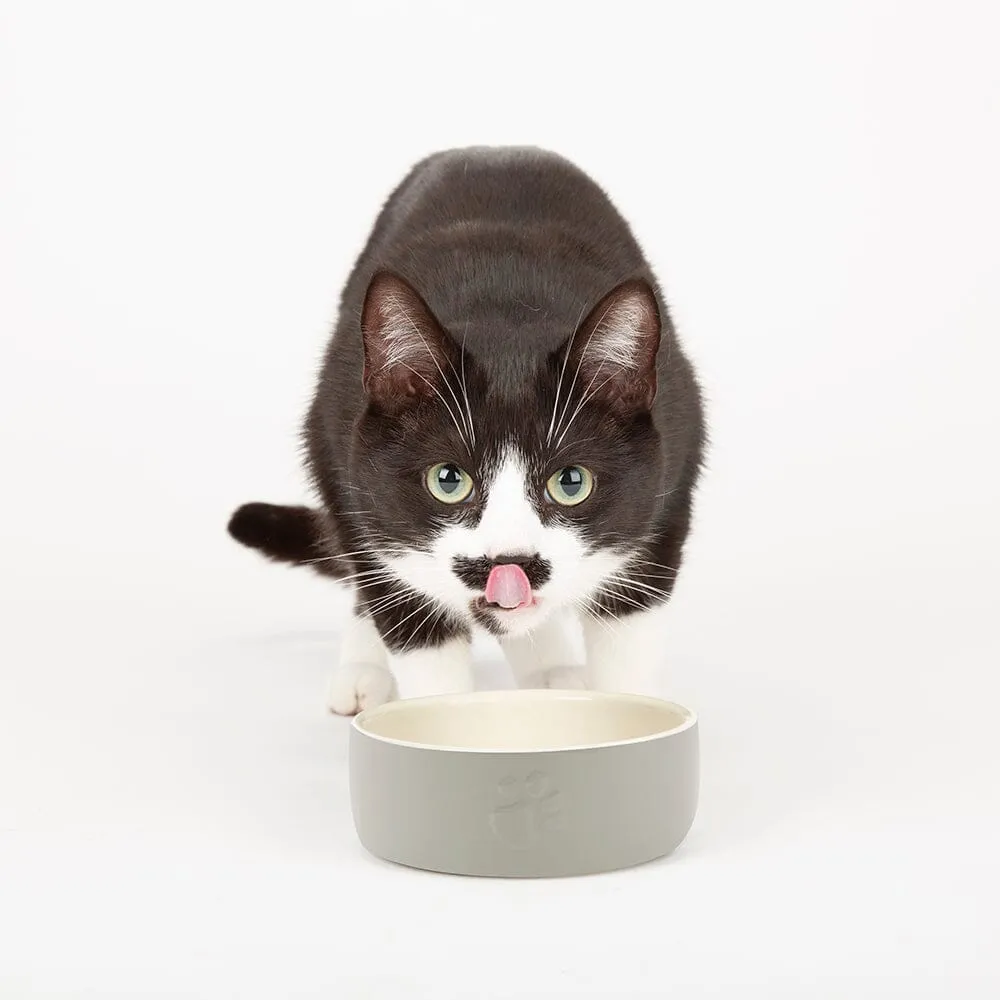 Icon 2 Piece Set 13cm Cat & Small Pet Food & Drink Bowl Set - Light Grey