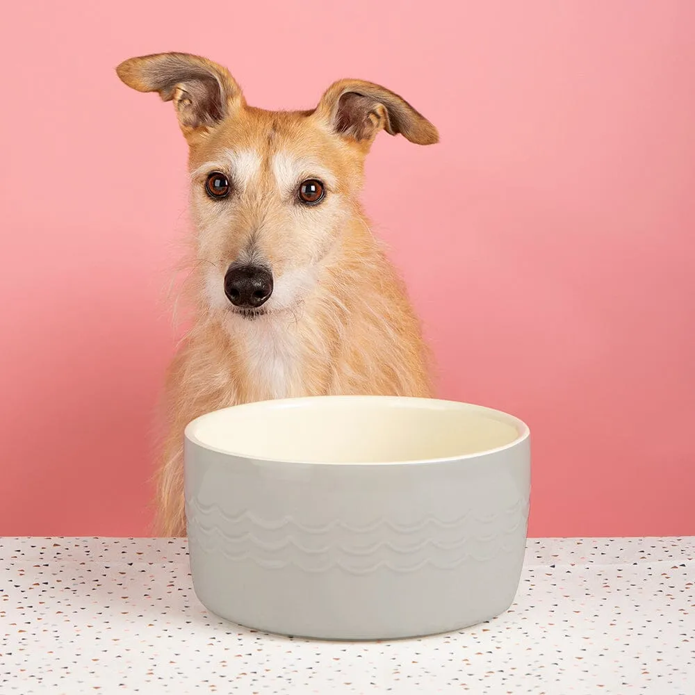 Icon 2 Piece Set 13cm Cat & Small Pet Food & Drink Bowl Set - Light Grey