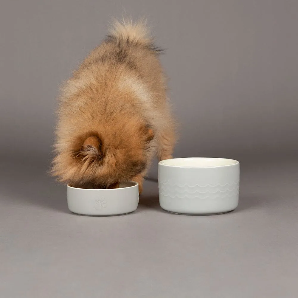 Icon 2 Piece Set 13cm Cat & Small Pet Food & Drink Bowl Set - Light Grey