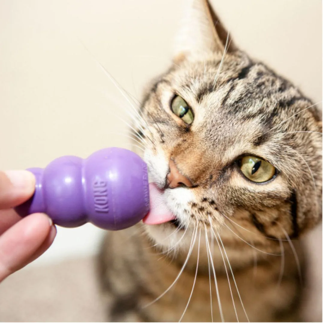 KONG Kitty Kong