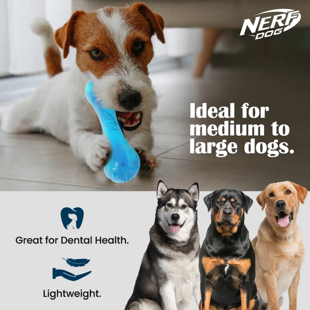 Nerf Bash Ultra Tough TPR Bone Toy for Dogs (Blue)