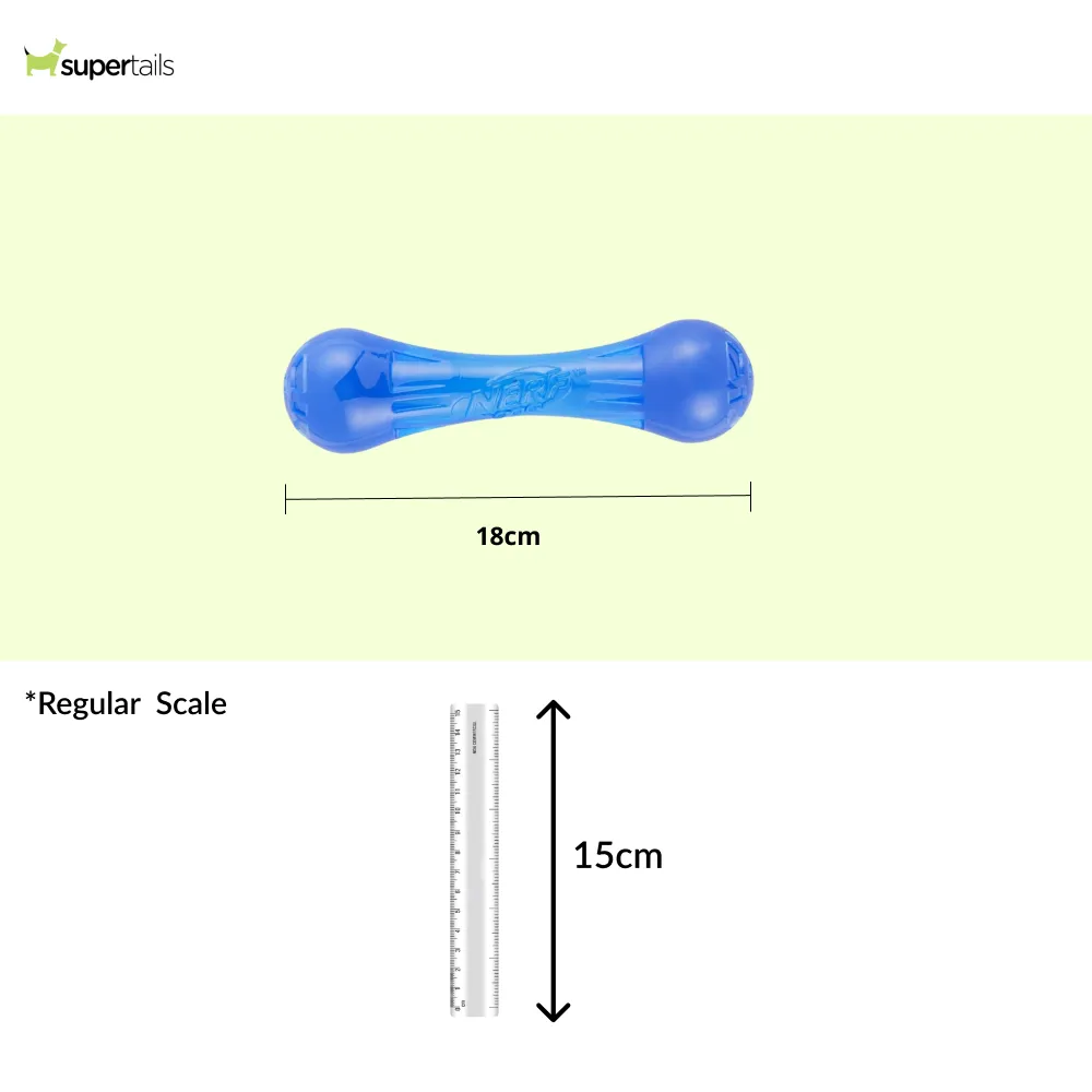 Nerf Bash Ultra Tough TPR Bone Toy for Dogs (Blue)