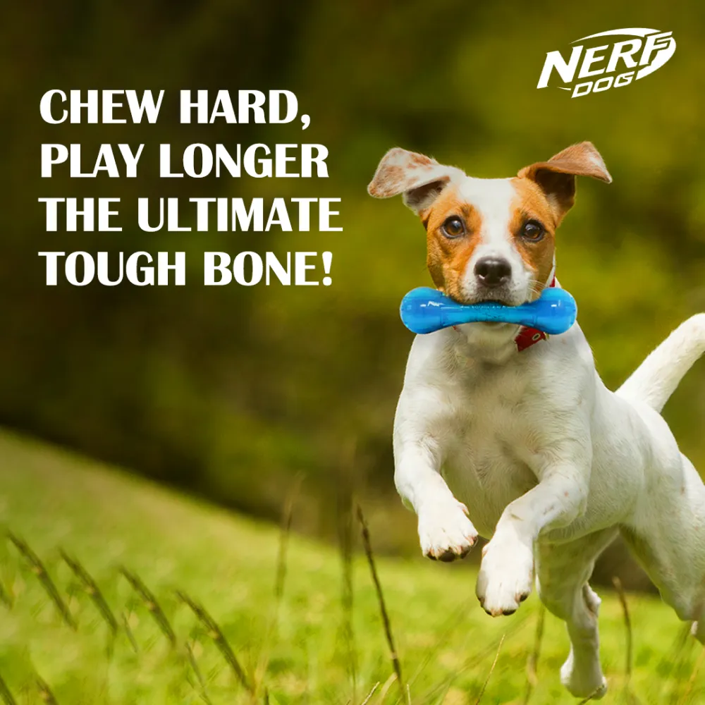 Nerf Bash Ultra Tough TPR Bone Toy for Dogs (Blue)