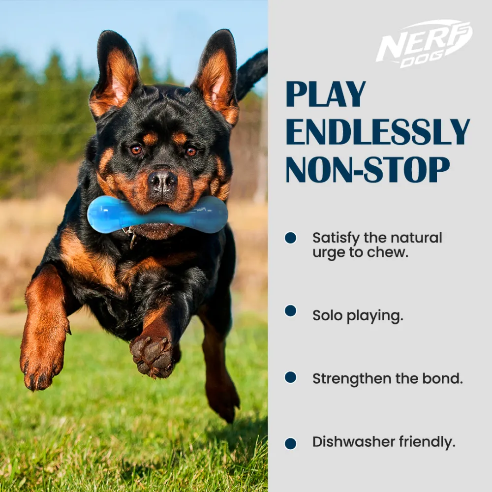 Nerf Bash Ultra Tough TPR Bone Toy for Dogs (Blue)