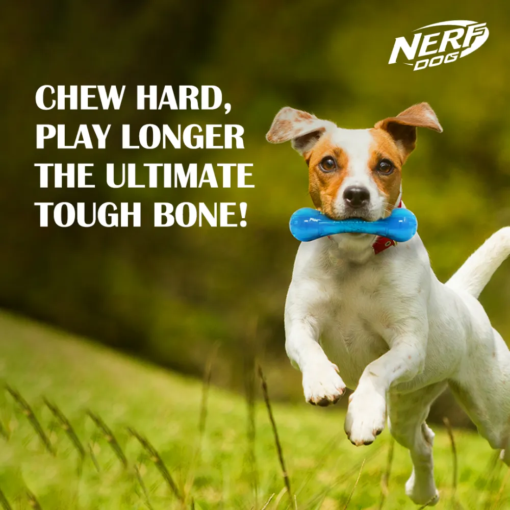 Nerf Bash Ultra Tough TPR Bone Toy for Dogs (Blue)