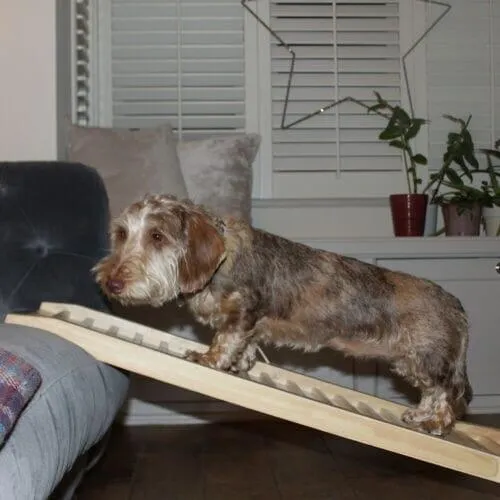 Outlet - Wooden Dog Ramp