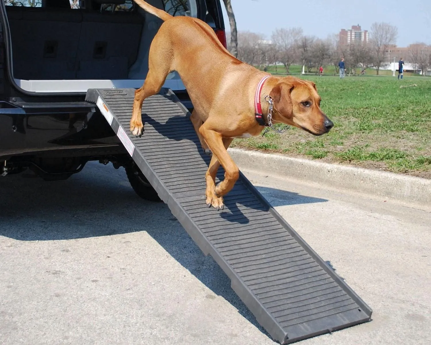 Portable Folding Dog Ramp - Holds up to 500 Pounds - PetStep Folding Dog Ramp