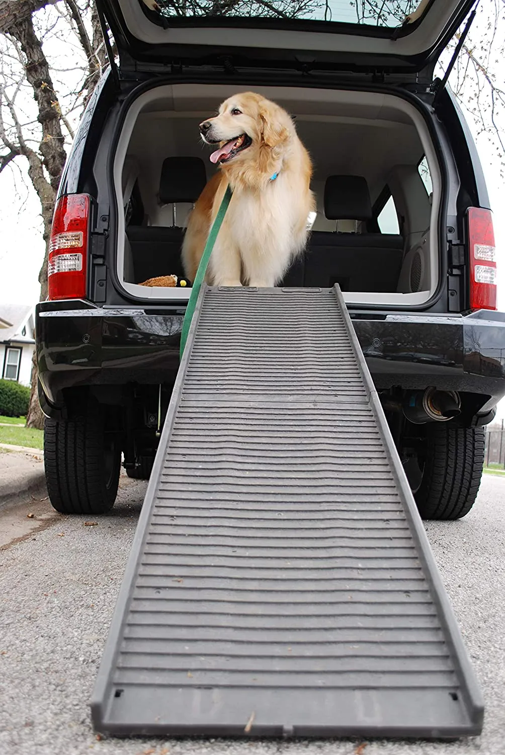 Portable Folding Dog Ramp - Holds up to 500 Pounds - PetStep Folding Dog Ramp
