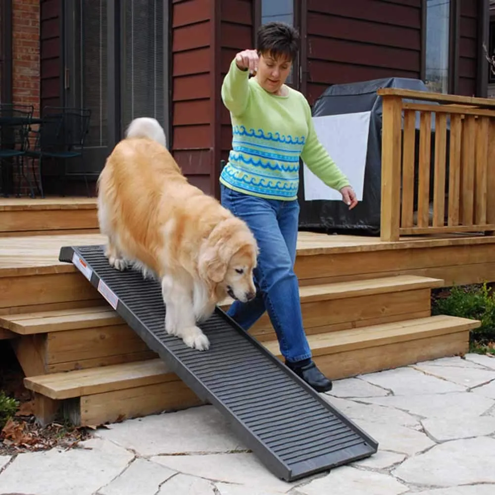 Portable Folding Dog Ramp - Holds up to 500 Pounds - PetStep Folding Dog Ramp