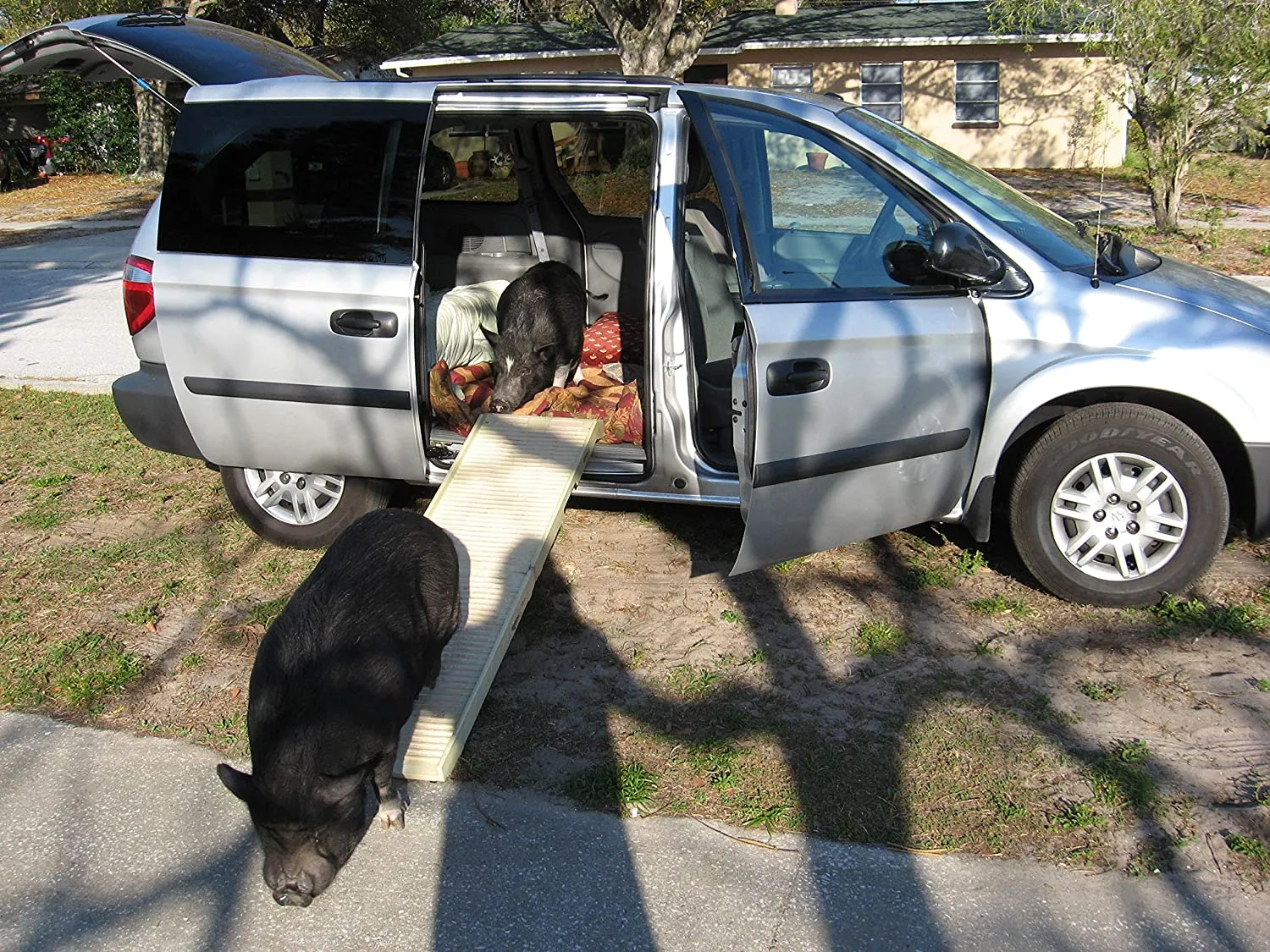 Portable Folding Dog Ramp - Holds up to 500 Pounds - PetStep Folding Dog Ramp