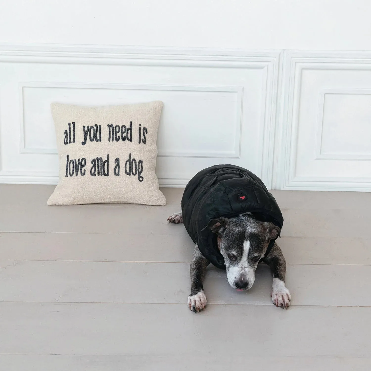 "All You Need is Love and a Dog" Square Pillow