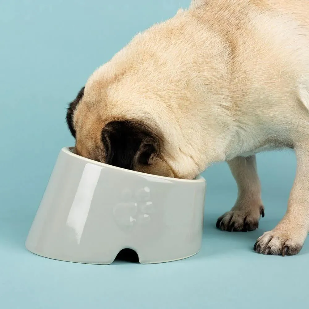 Scruffs Icon Flat Faced Dog Bowl