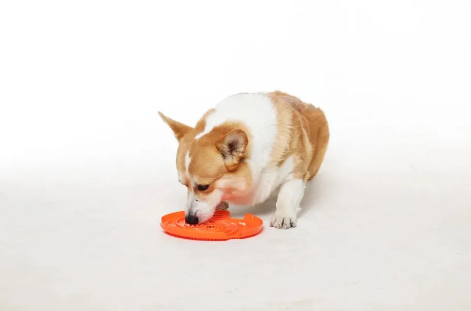 Spin Interactive Feeder Accessories - Lick Flying Disc Level2 Medium