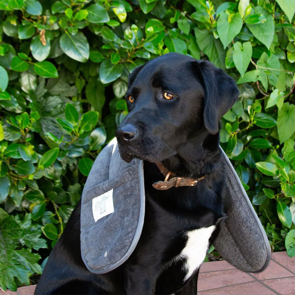 Terry Towelling Dog Drying Mitt