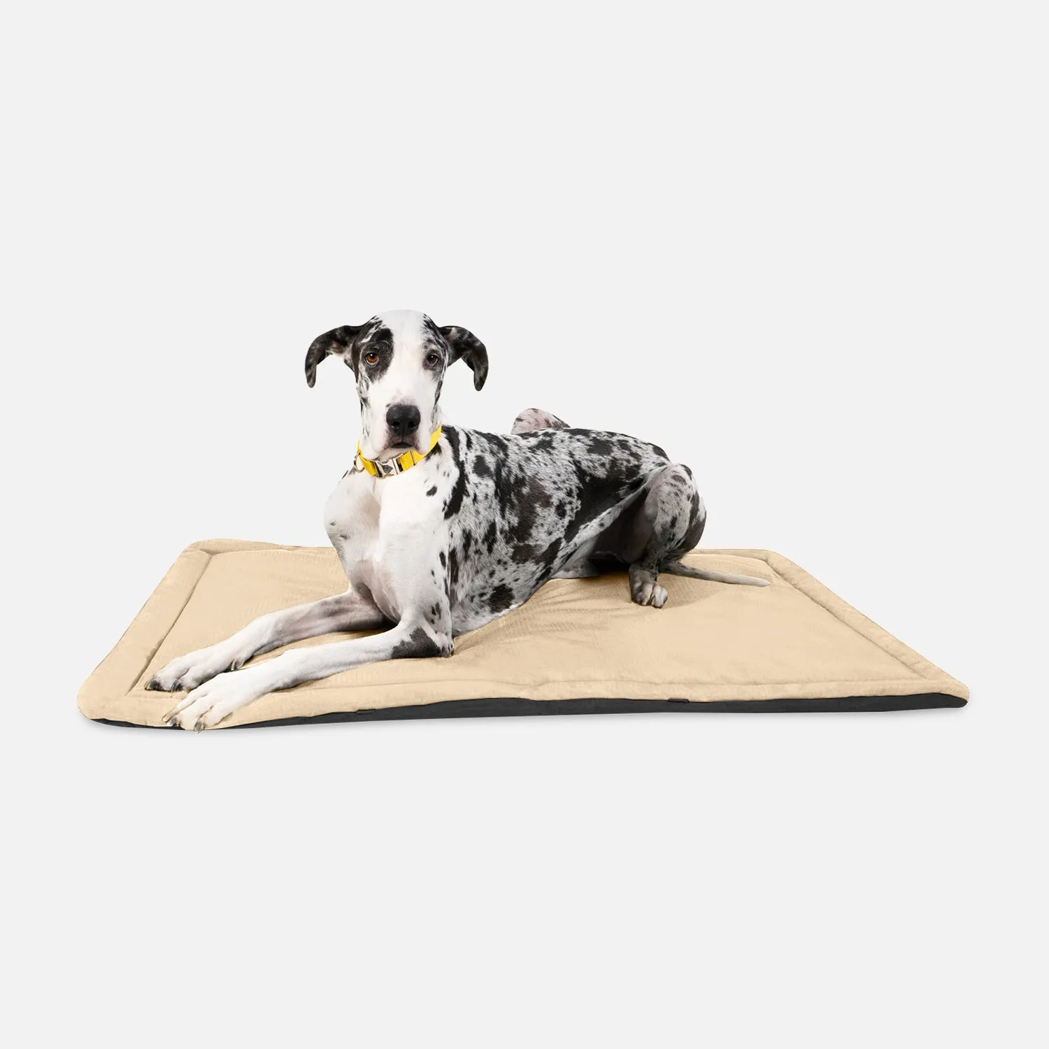 Tough Ripstop™ Dog Crate Pad - Open Box