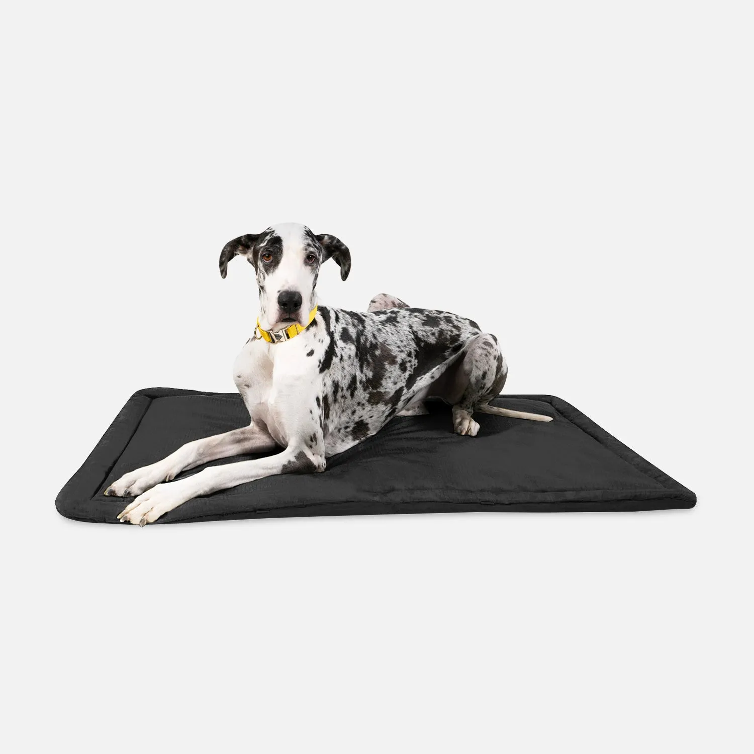 Tough Ripstop™ Dog Crate Pad - Open Box