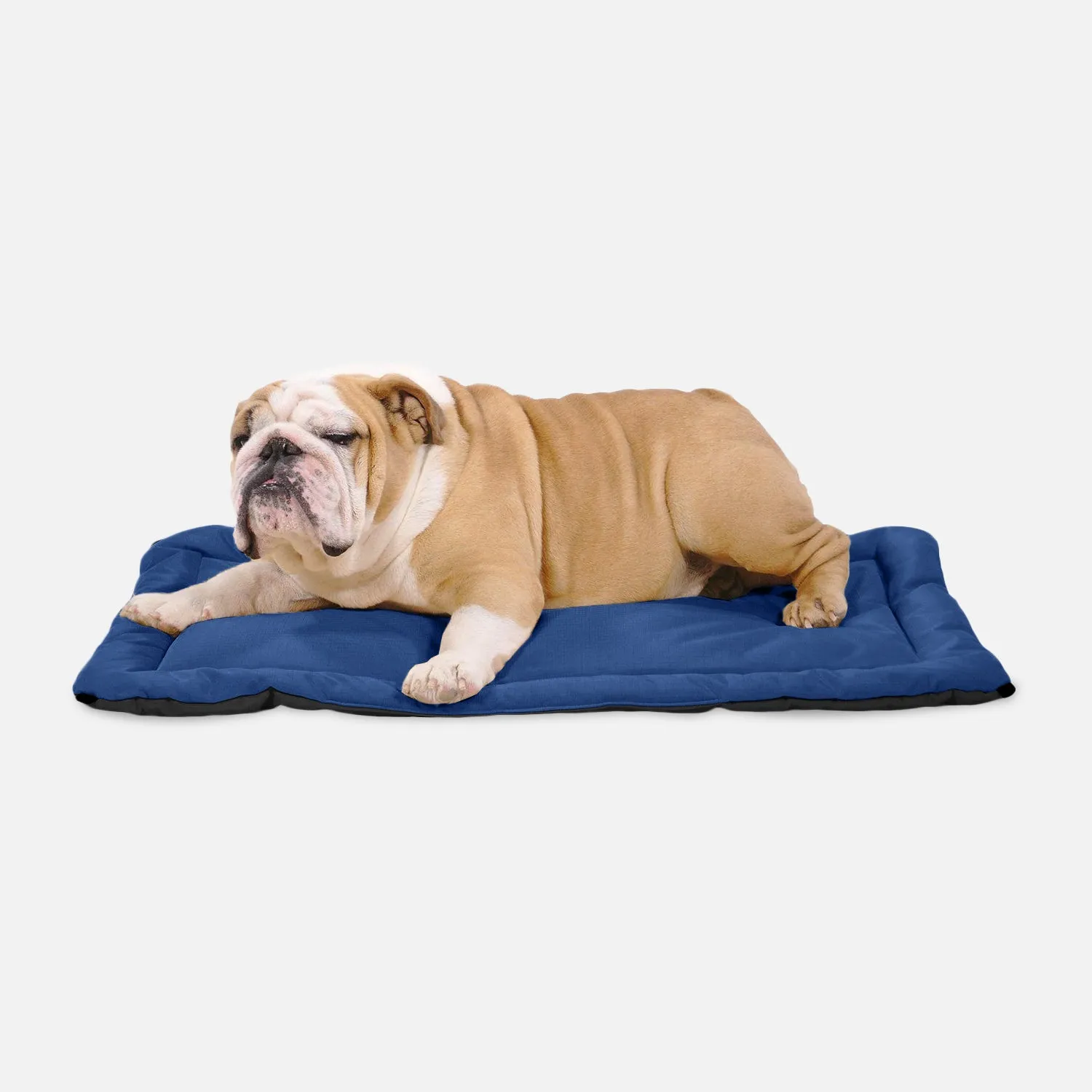 Tough Ripstop™ Dog Crate Pad - Open Box
