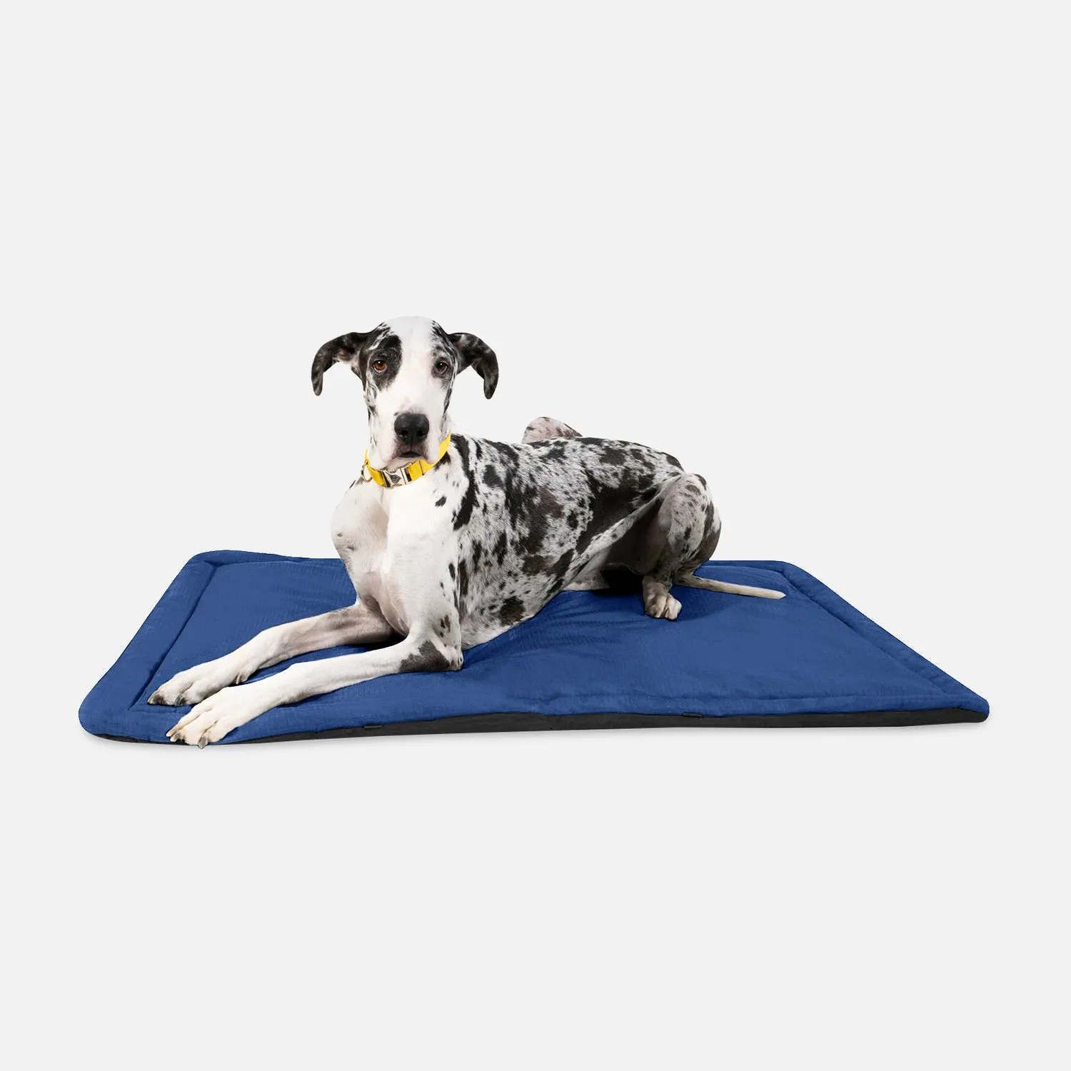 Tough Ripstop™ Dog Crate Pad - Open Box