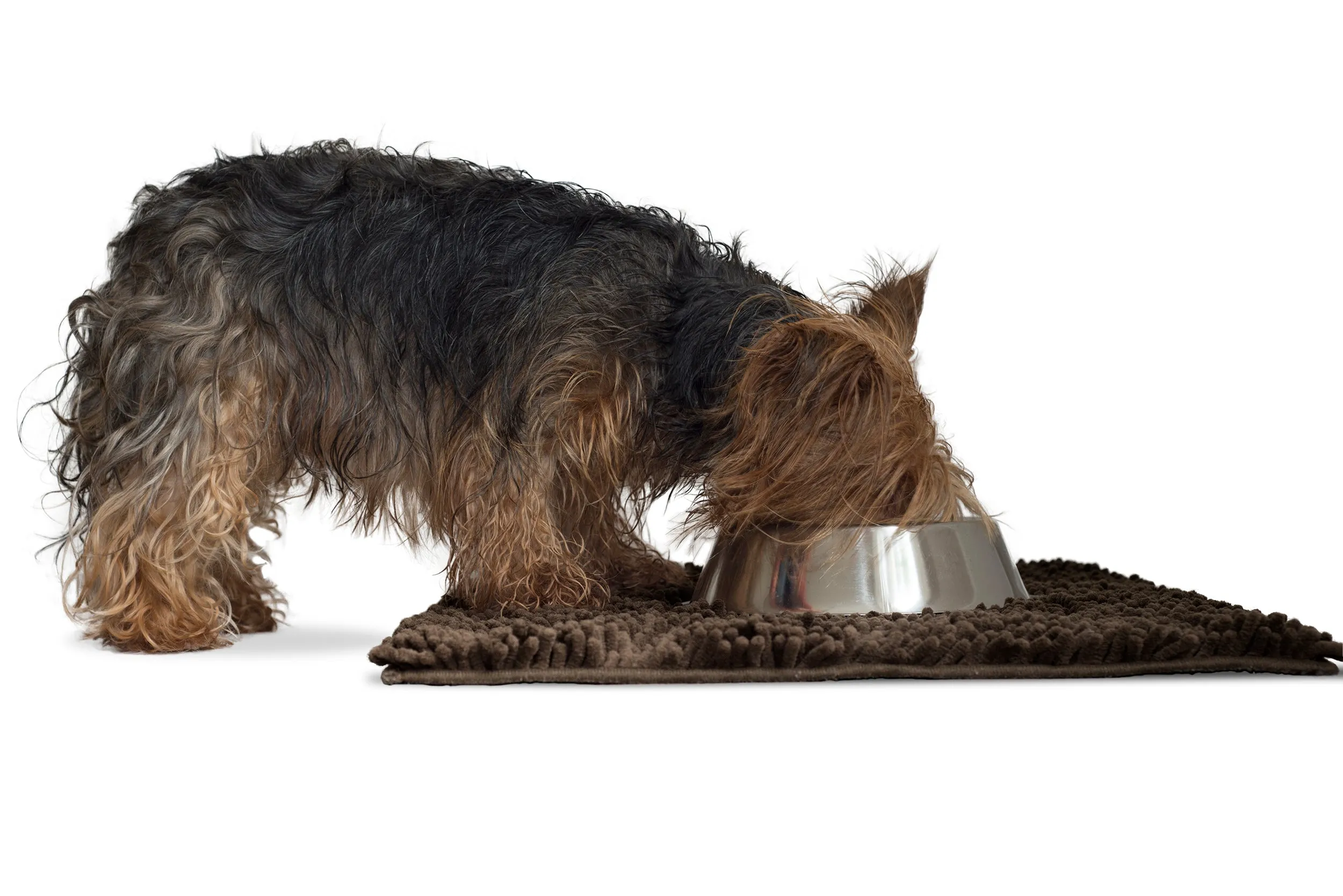 Ultra Absorbent Muddy Paws Pet Towel & Shammy Dog Rug