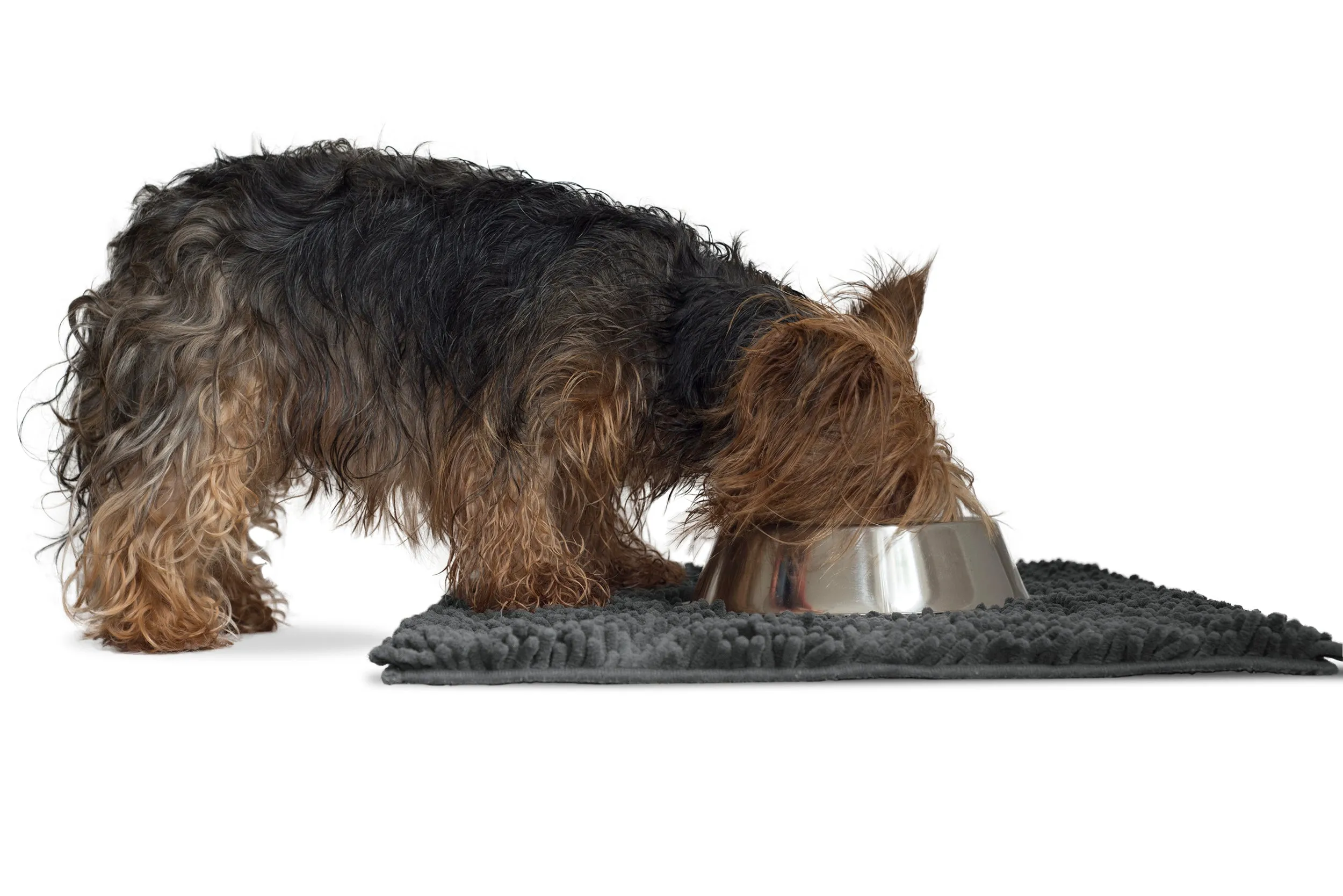Ultra Absorbent Muddy Paws Pet Towel & Shammy Dog Rug