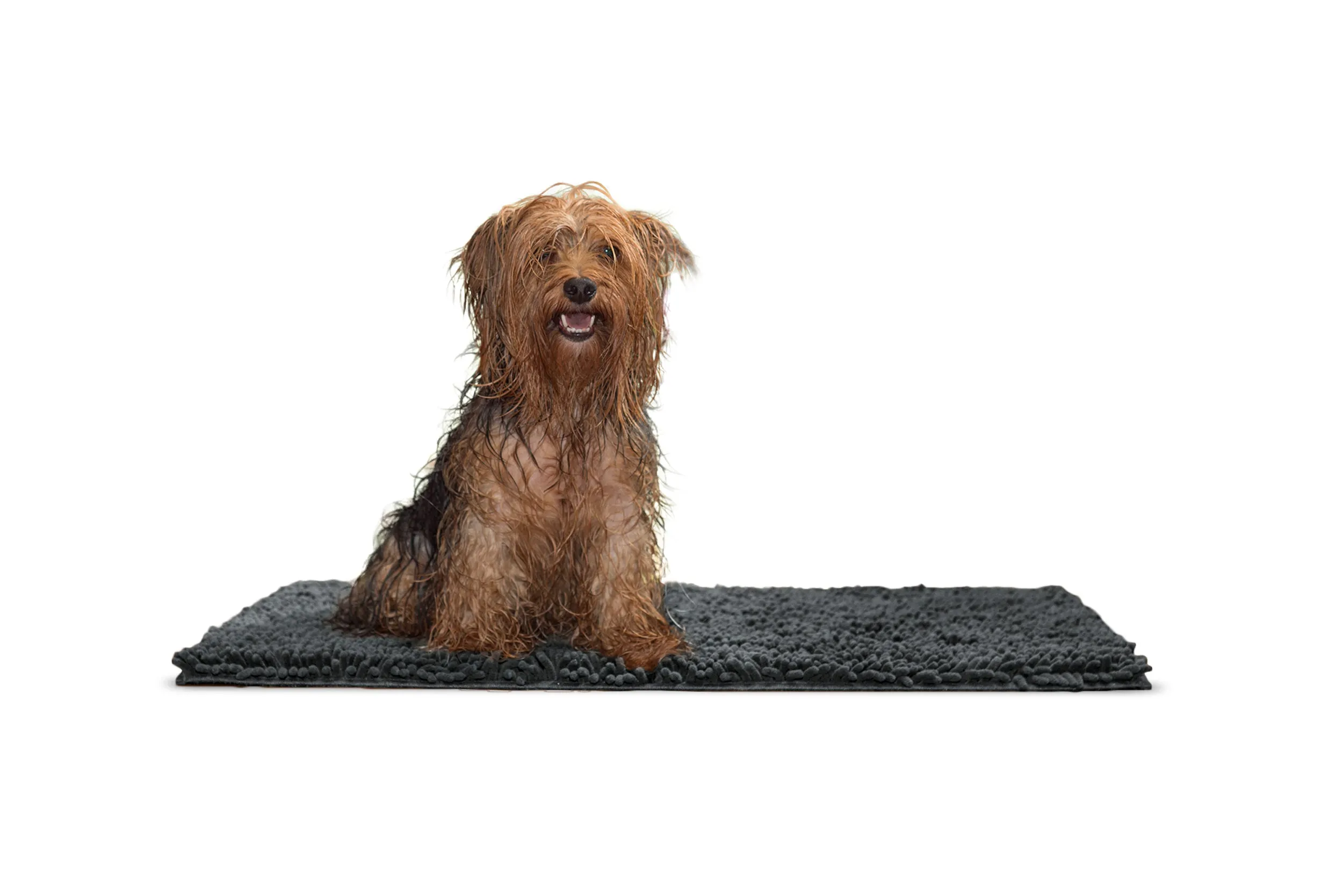 Ultra Absorbent Muddy Paws Pet Towel & Shammy Dog Rug