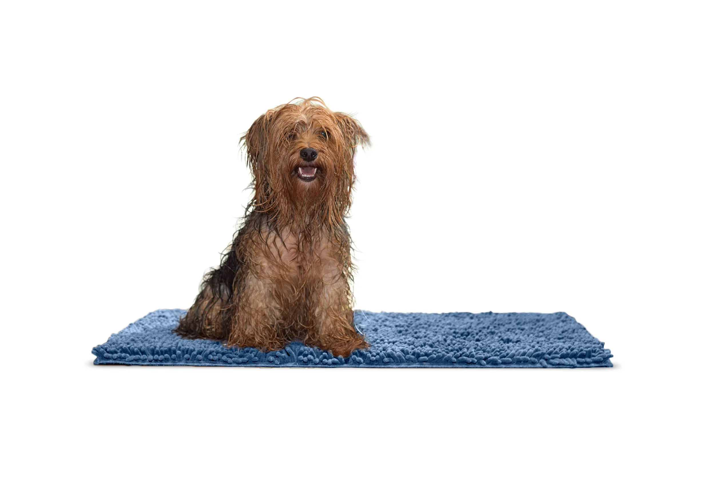 Ultra Absorbent Muddy Paws Pet Towel & Shammy Dog Rug