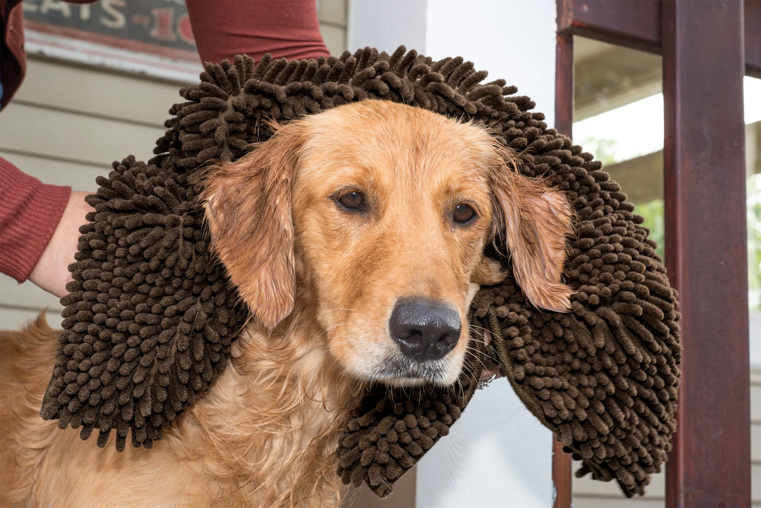 Ultra Absorbent Muddy Paws Pet Towel & Shammy Dog Rug